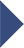 step-icon